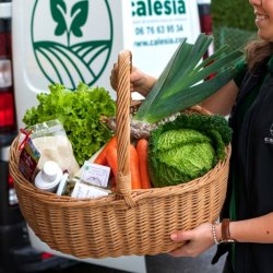 Calesia 