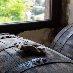Whisky Twelve