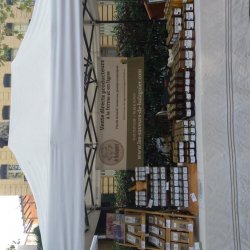 Gaec de Balaguier 