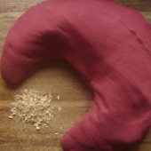 Le sommeil des hirondelles