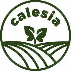 Logo de Calesia 