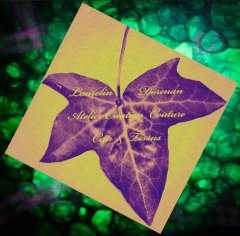 Logo de Atelier Laurelin Dórenan création couture