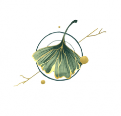 Logo de Naturopathe Toulouse