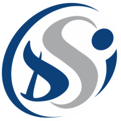 Logo de DSI - Entreprise Adaptée