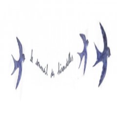 Logo de Le sommeil des hirondelles